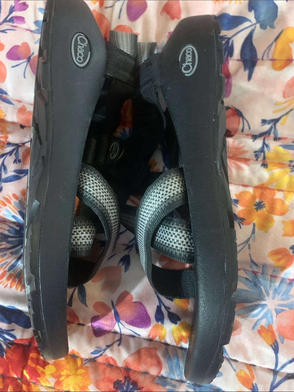 Chaco - Picture 4 of 8
